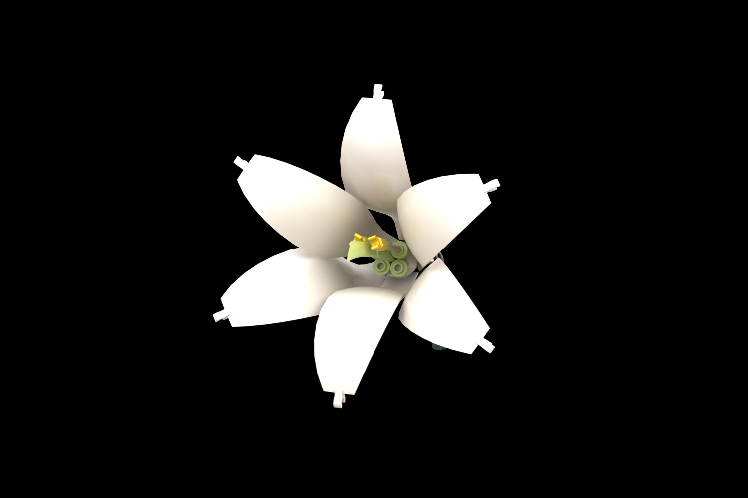 a01 Easter Lily - Ultimate Flower Collection