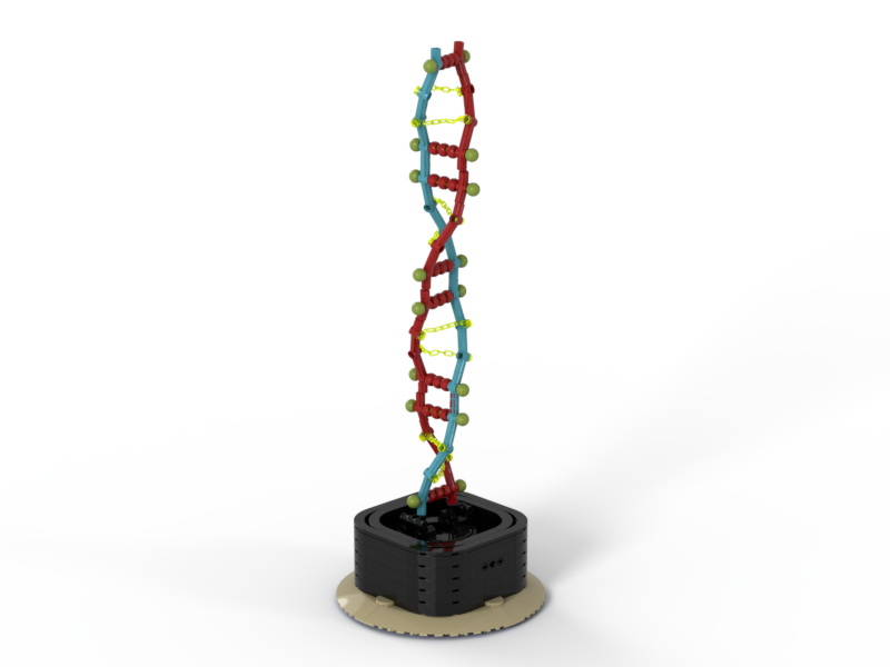 DNA double helix with a turnable base