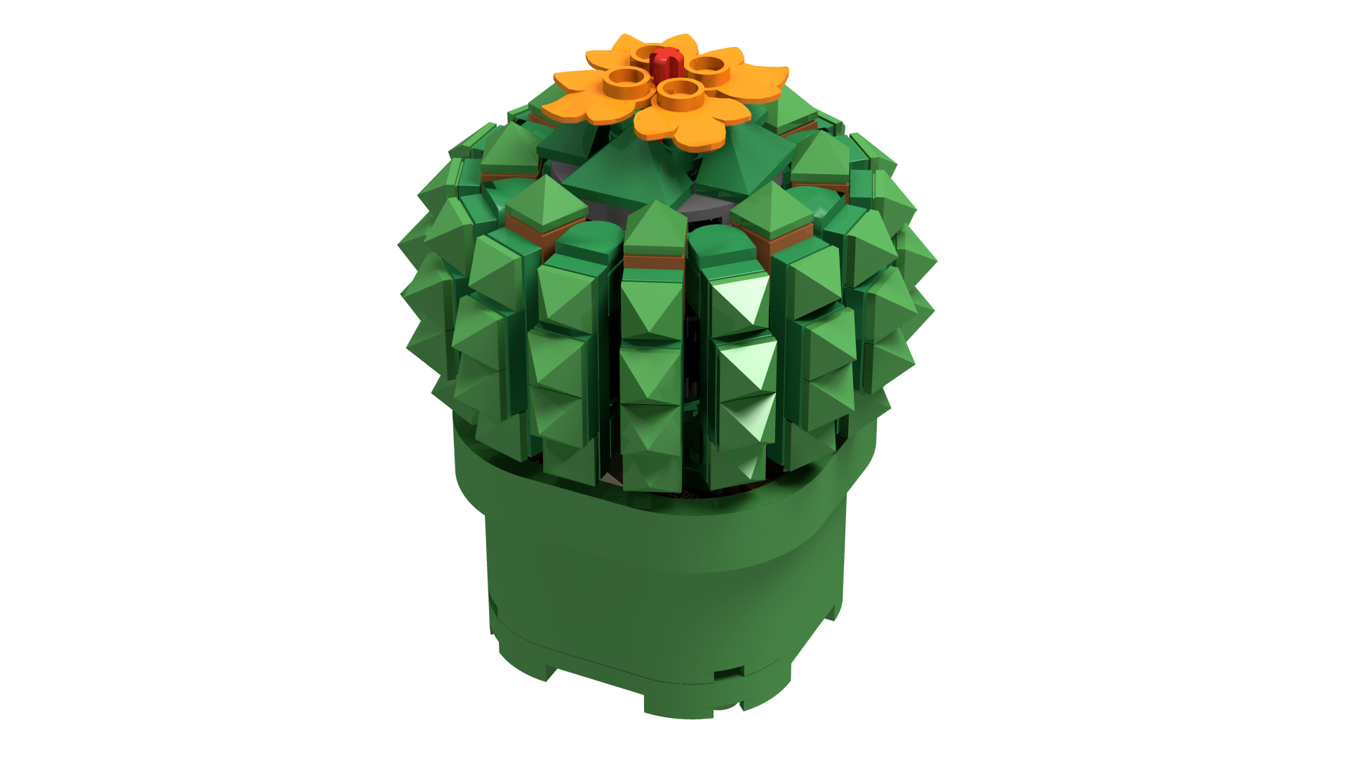 Flowering Potted Succulent Plant