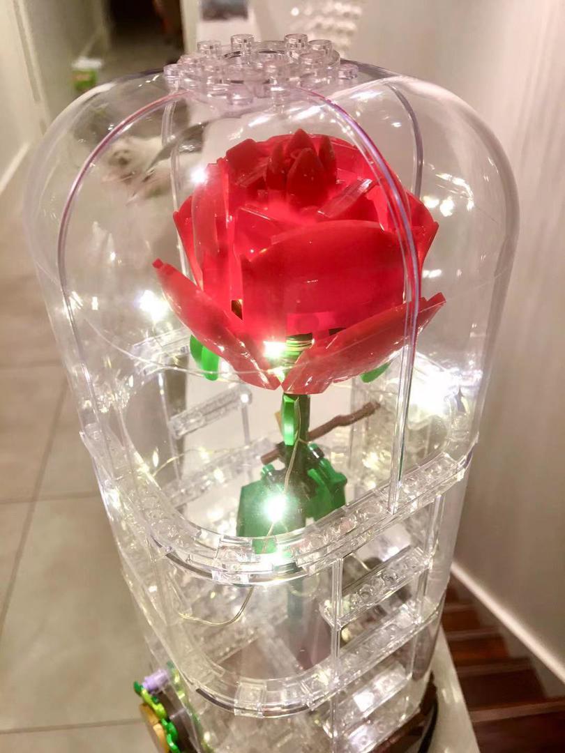 Beauty and the Beast - enchanted rose - Alternative build from ship in a bottle