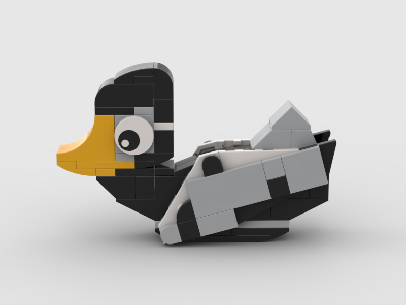 Duck