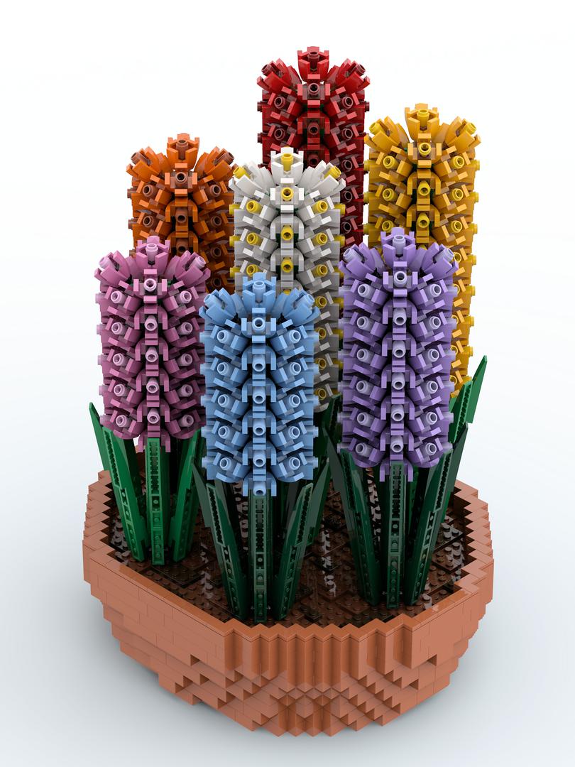 Colorful Hyacinths in a Terracotta Bowl