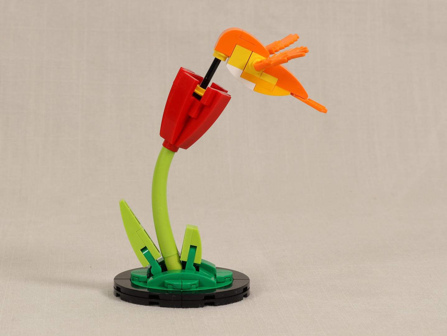 Hummingbird and Flower