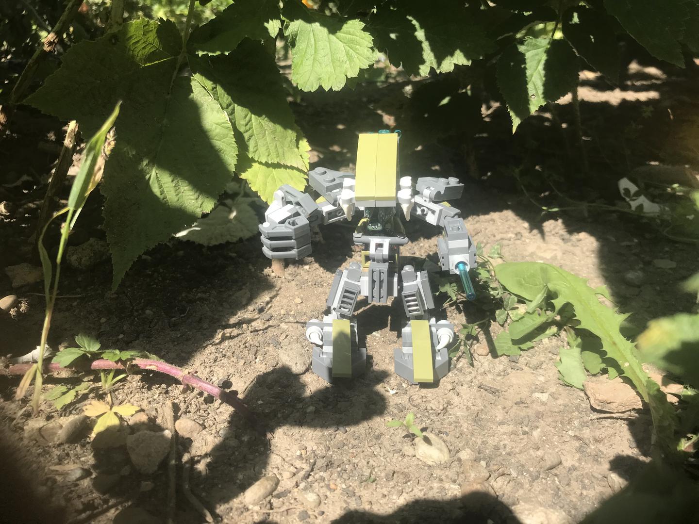 A piece of nostalgia