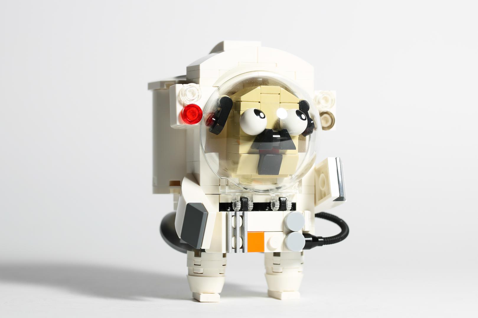 Astro Pug