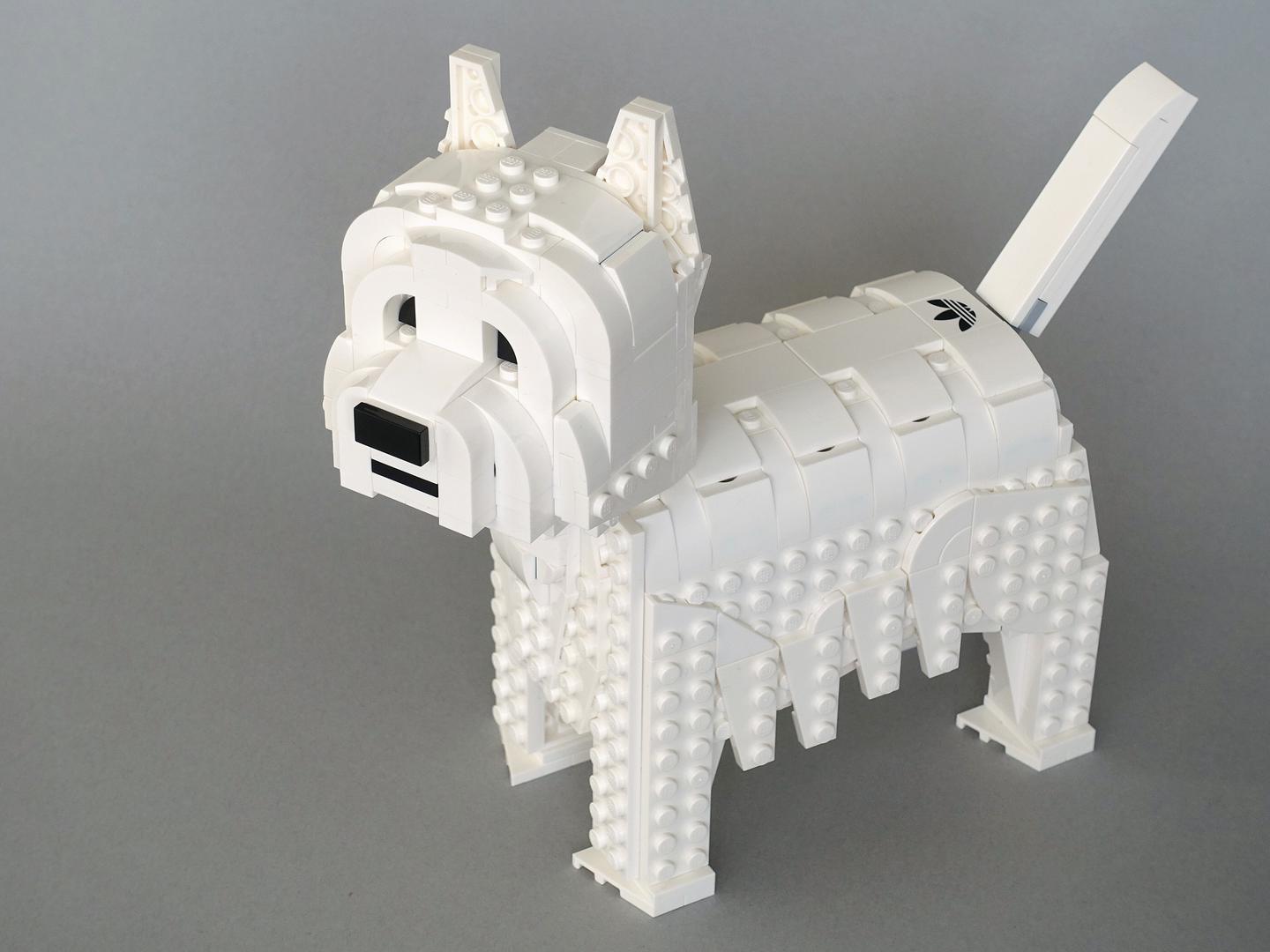 10282: West Highland White Terrier