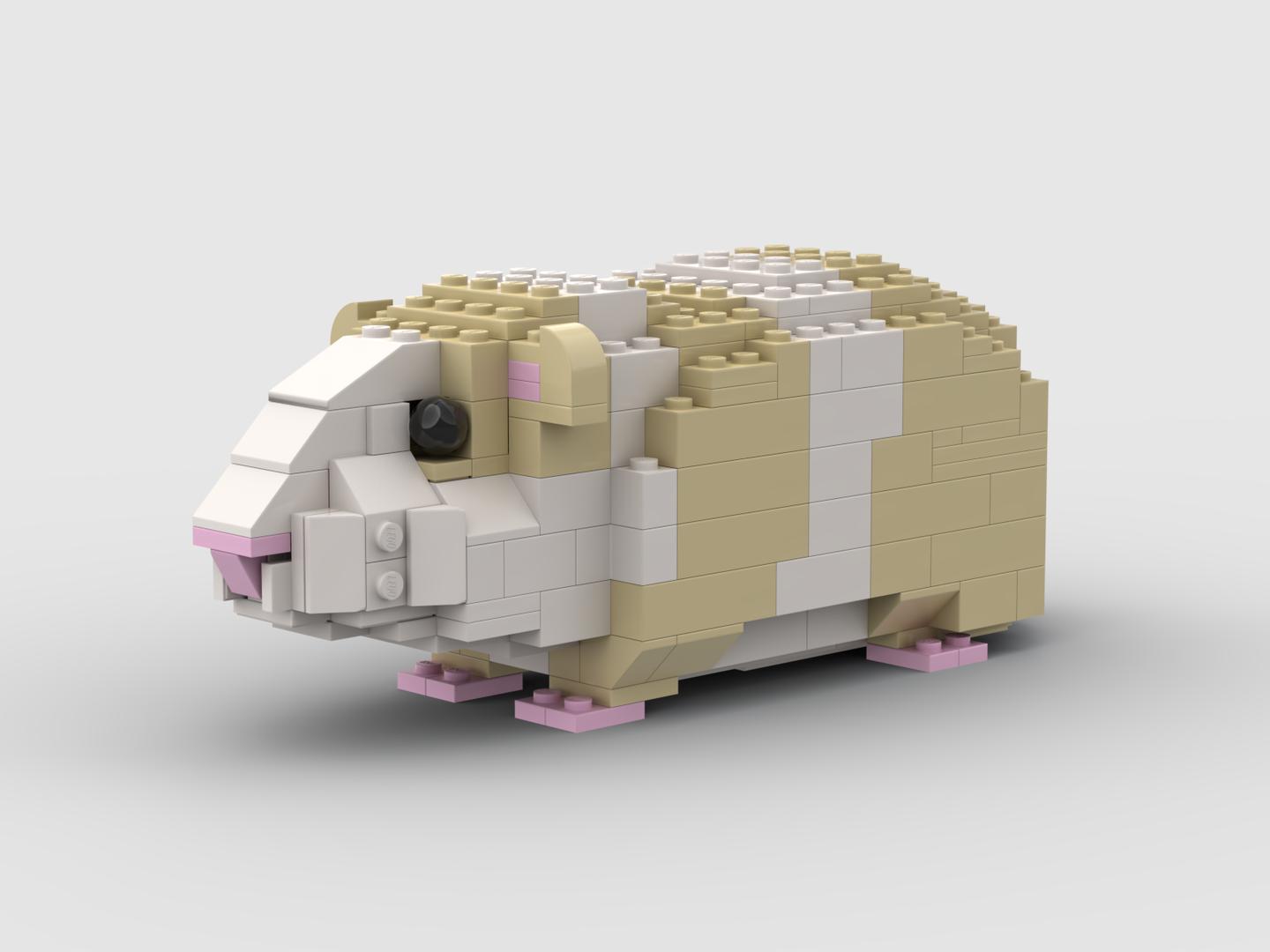 Guinea Pig