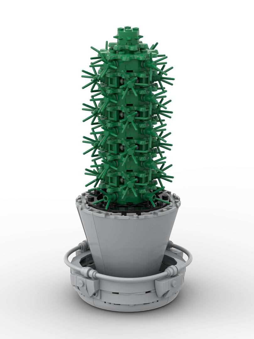 Cactus in a pot