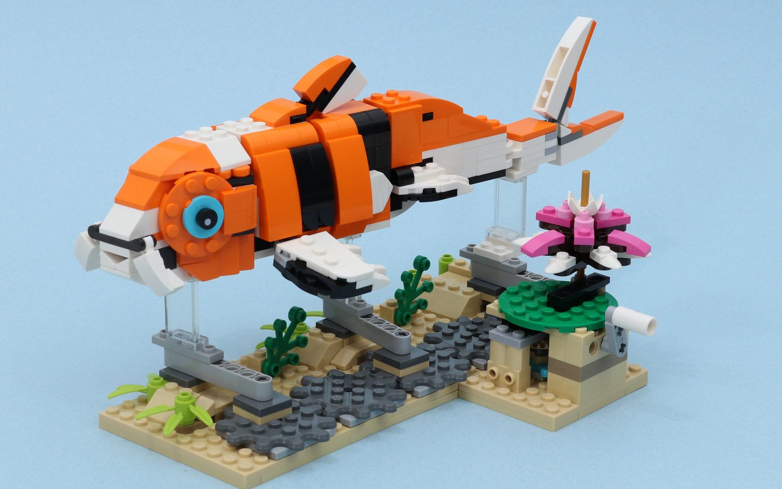 Swimming Koi Fish Base