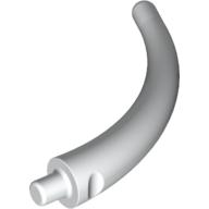 Dinosaur Tail End Section / Horn