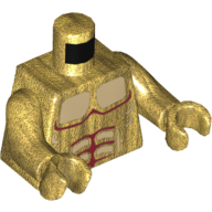 Torso Armor with Gold Plated Muscles Outline Print, Pearl Gold Arms and Hands