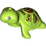 Animal, Turtle with Reddish Brown Spots Print