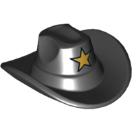 Hat, Cowboy with Gold Star Print