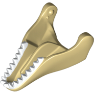 Animal Body Part, Dinosaur, Tyrannosaurus Rex Lower Jaw with White Teeth Print