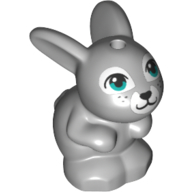 Animal, Rabbit / Bunny Sitting with Dark Turquoise Eyes and White Nose and Mouth Print