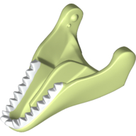 Animal Body Part, Dinosaur, Tyrannosaurus Rex Lower Jaw with White Teeth Print