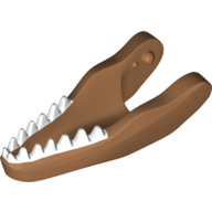 Animal Body Part, Dinosaur, Carnotaurus Lower Jaw with White Teeth