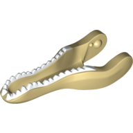 Animal Body Part, Dinosaur, Baryonyx Lower Jaw with White Teeth