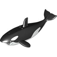 Animal, Killer Whale / Orca with White Bottom print