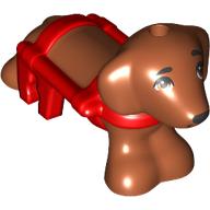 Animal, Dog, Dachshund with Red Harness Pattern (Pickle)