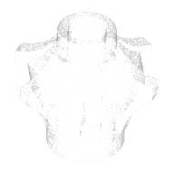 Weapon, Mace with Spikes