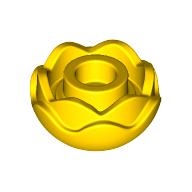 Plant, Flower, Peony Rose with 2 Layers