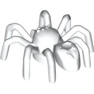 Insect, Spider with Elongated Tail Section