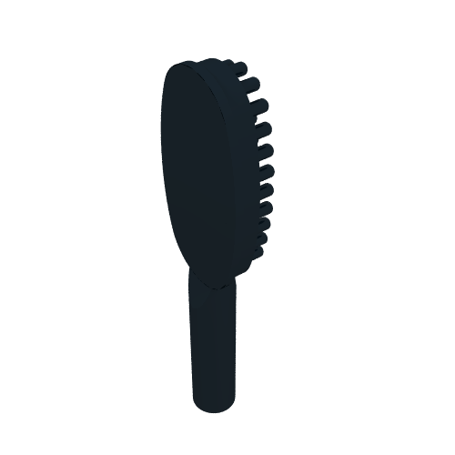 Equipment Hairbrush [Undetermined Handle Length]