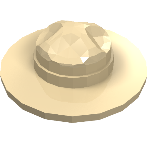 Hat, Campaign (98279)
