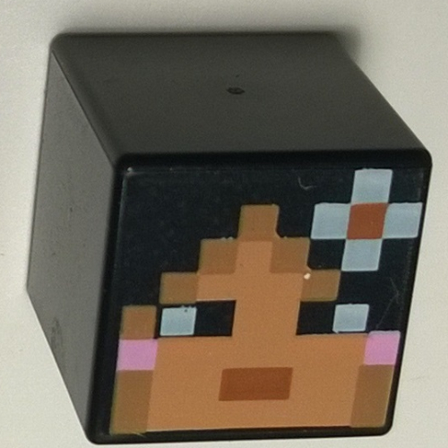 Minifig Head Special, Cube with Minecraft Skin 2 Print