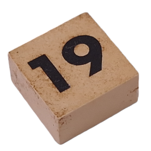 Modulex Tile 2 x 2 with Small Black '19' print, without Internal Supports