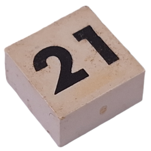 Modulex Tile 2 x 2 with Small Black '21' print, without Internal Supports