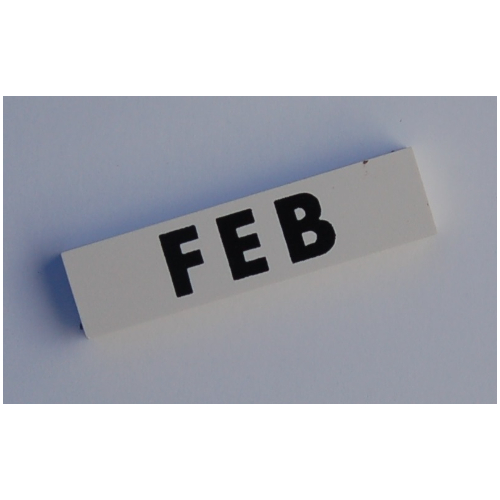 Modulex Tile 2 x 8 without Internal Support with Black 'FEB' print