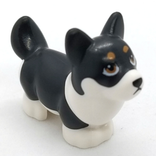 Animal, Dog, Corgi with Partially Black Fur print