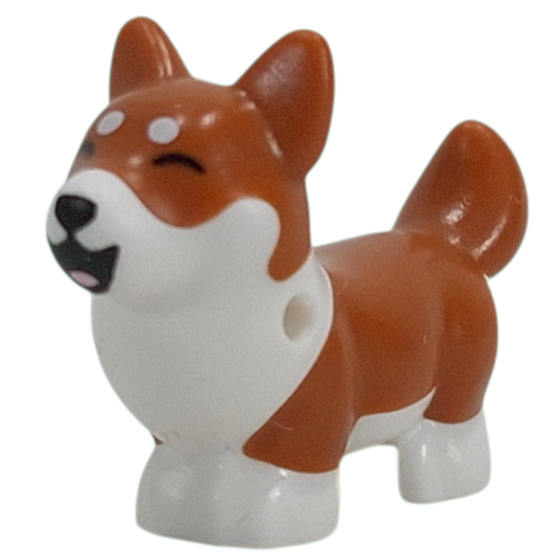 Animal, Dog, Corgi with Partially Dark Orange Fur, Laughing print