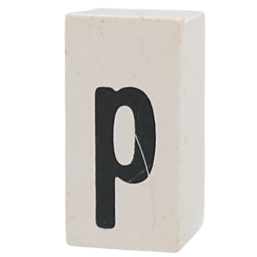 Tile Special 1 x 2 x 5/6 with Stud Hole in End with 'p' print
