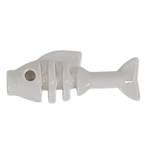 Animal, Fish Skeleton