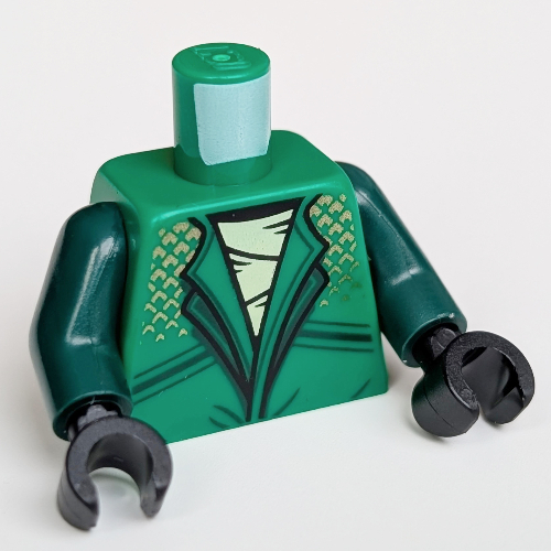 Torso, Ninja Robe, White Shirt, Gold Decorations, Snake On Back print, Dark Green Arms, Black Hands