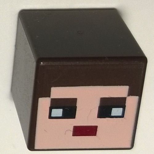 Minifig Head Special, Cube with Minecraft Skin 3 Print