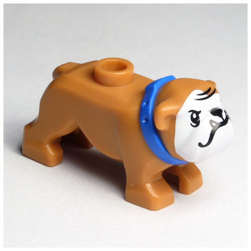 Animal, Dog, Bulldog with White Face, Fangs, Blue Collar print