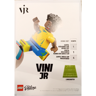 Vinicius Junior Poster 2
