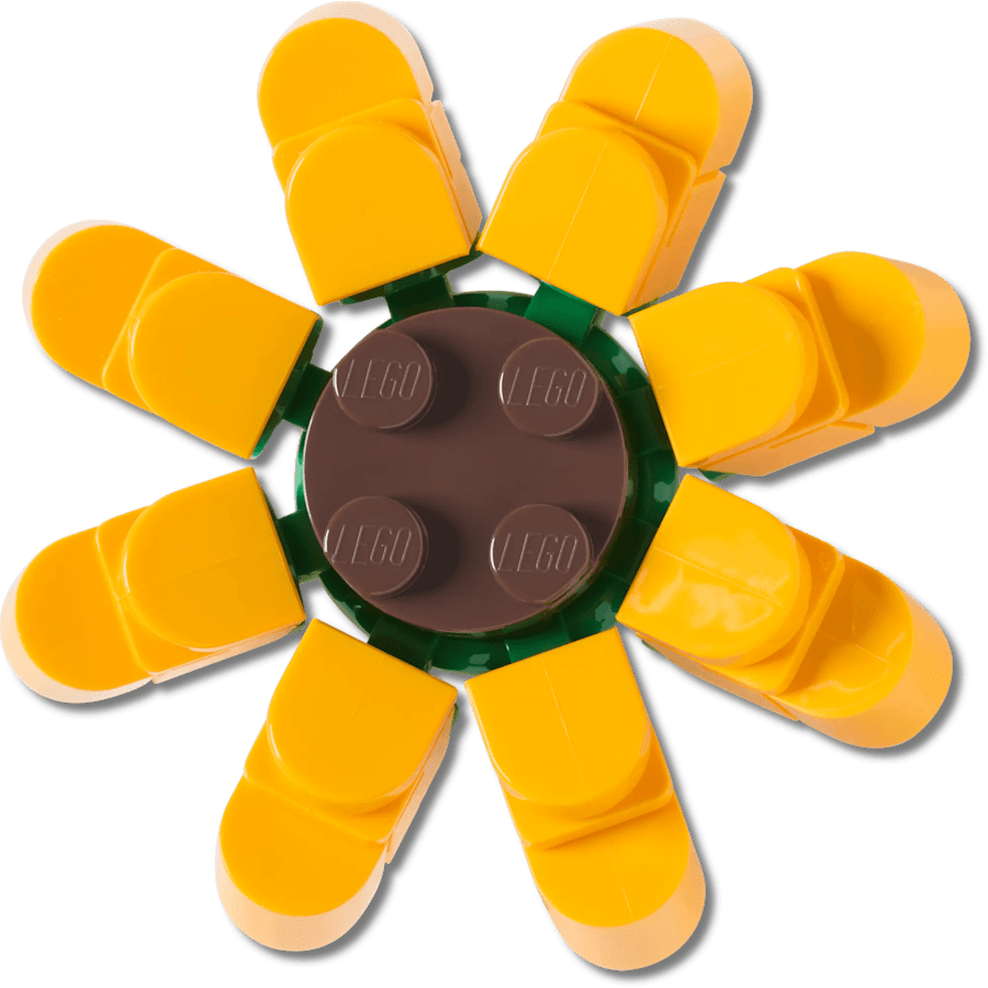LEGO 10018257 Sunflower Jibbitz box