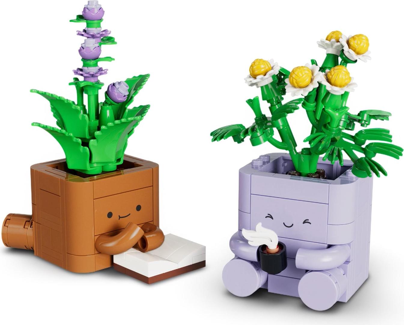 Cozy Plants