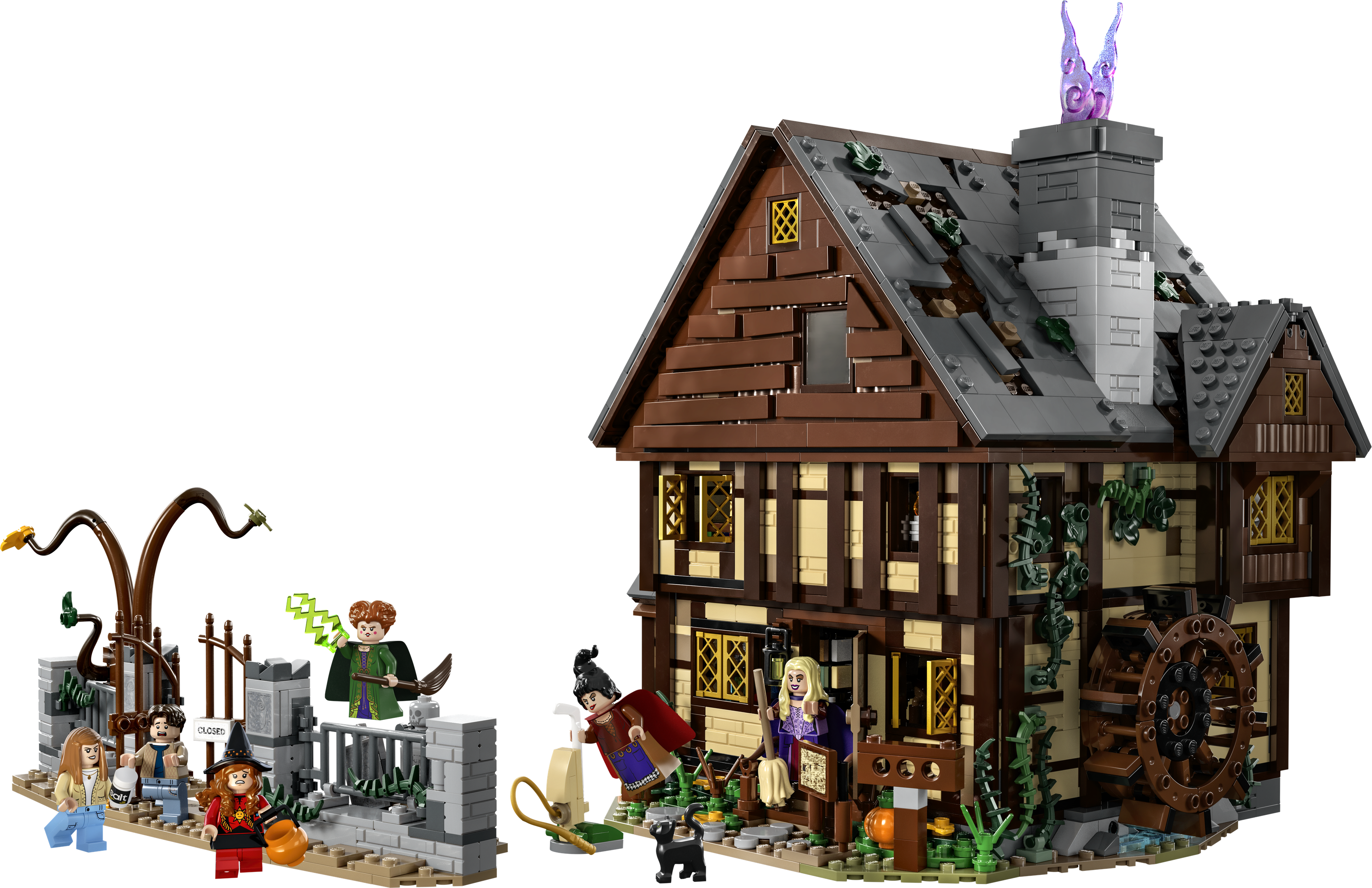 Main image of LEGO Hocus Pocus (21341-1)