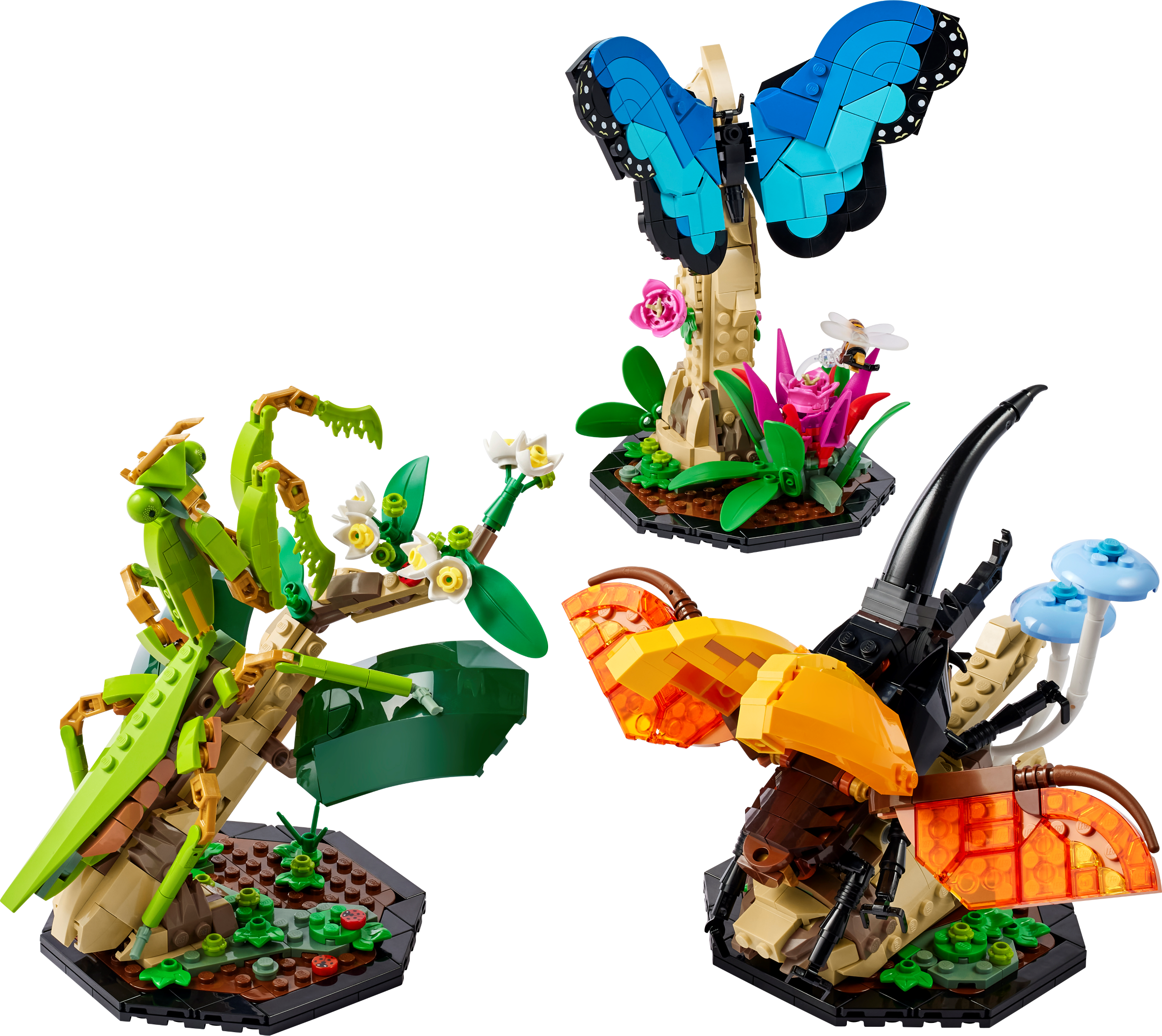 Main image of LEGO The Insect Collection (21342-1)