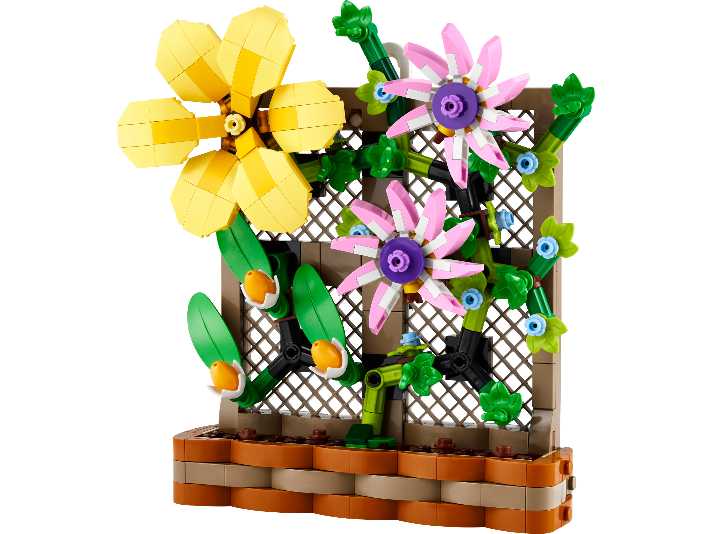 Flower Trellis Display