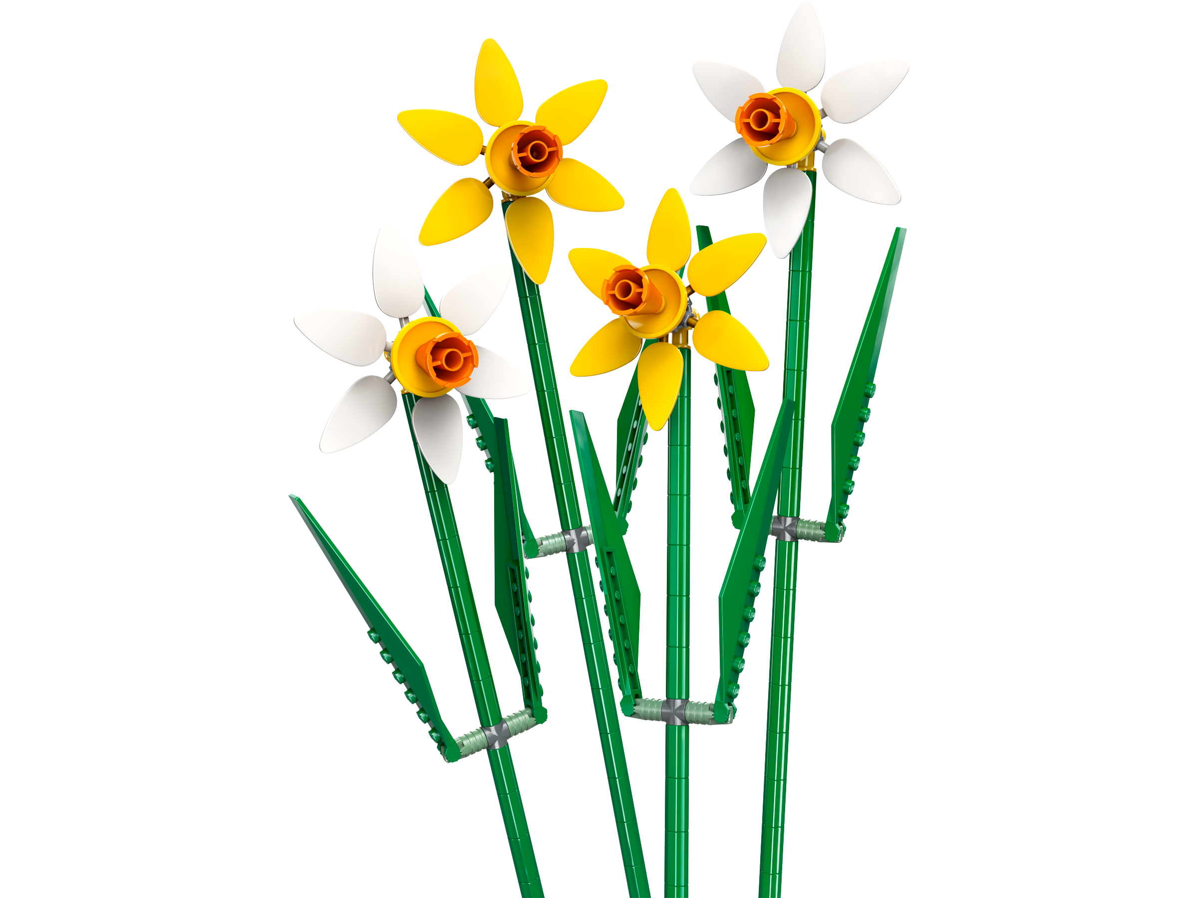 Main image of LEGO Daffodils (40747-1)