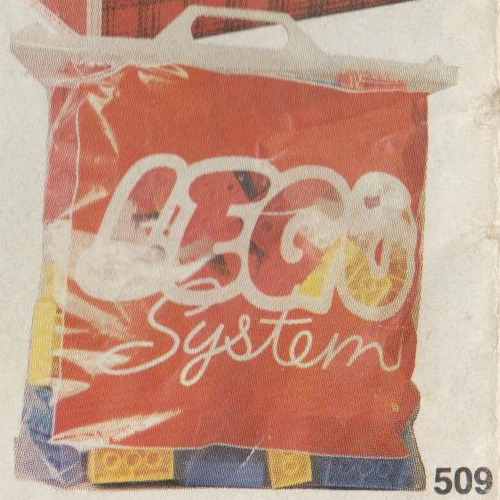 Plastic Storage Bag with Duplo Bricks