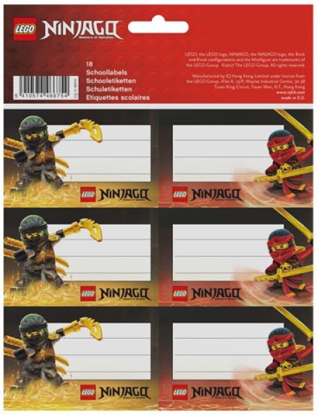 LEGO Ninjago Lloyd and Kai School Labels