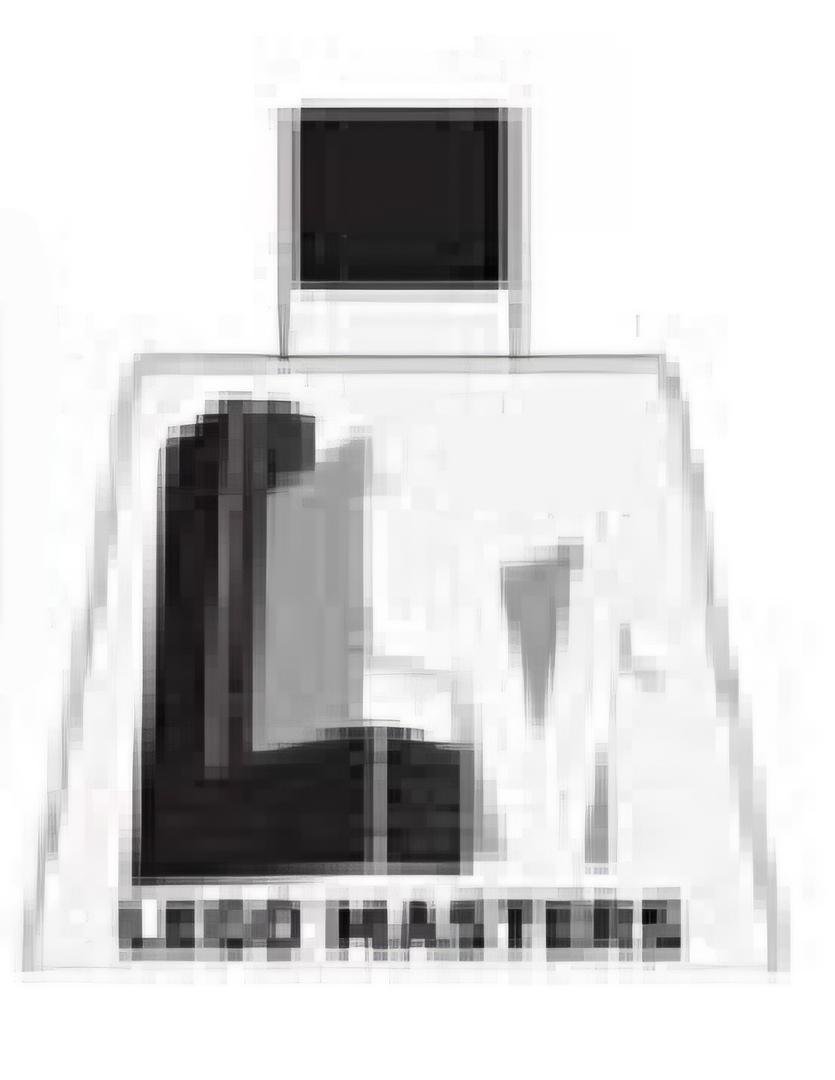 LEGO Masters Torso – Black and White